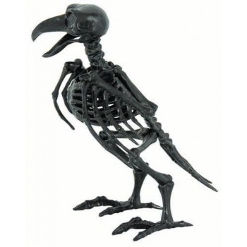 Skeleton Raven small BUY